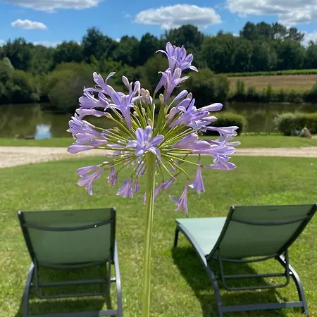Vakantiehuis Chateau La Poste *
