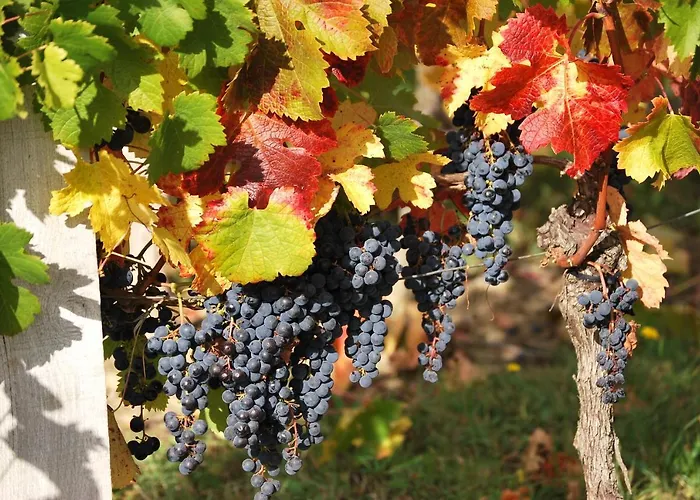 Chateau La Poste Petit-Palais-et-Cornemps